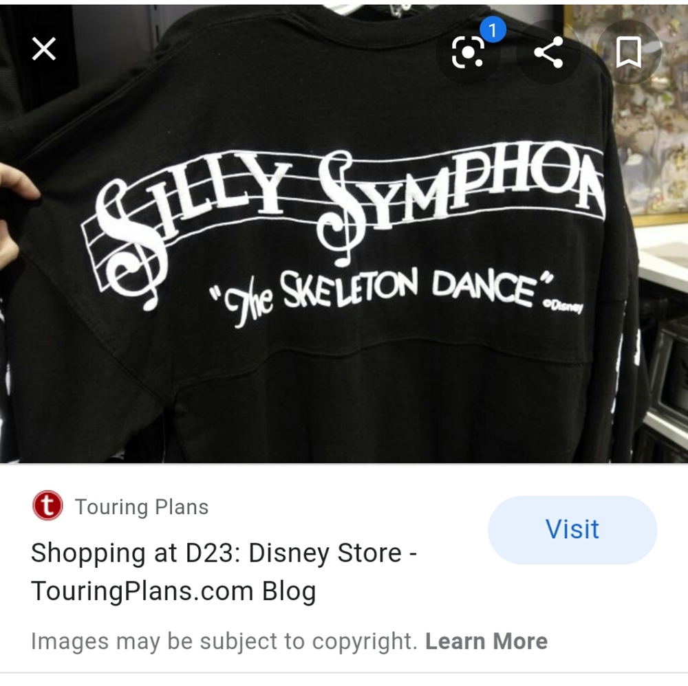 ISO Silly Symphony Spirit jersey